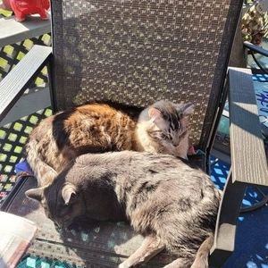 Meet your Posher, Janet